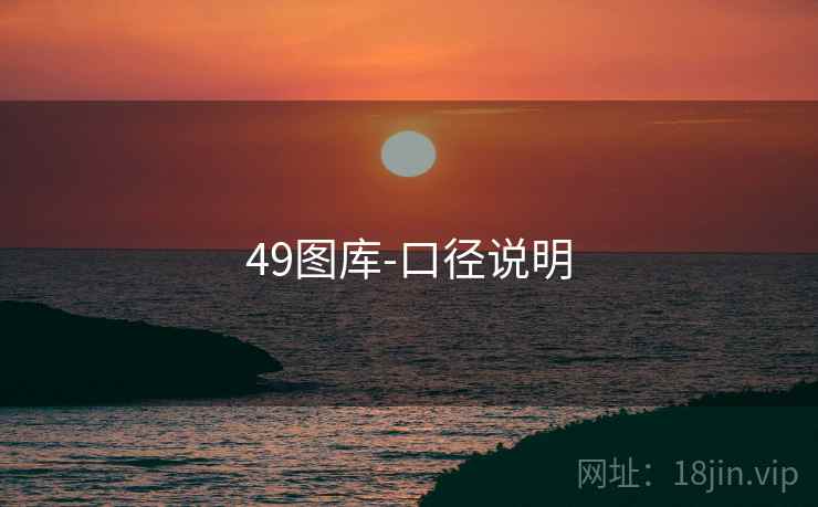 49图库-口径说明