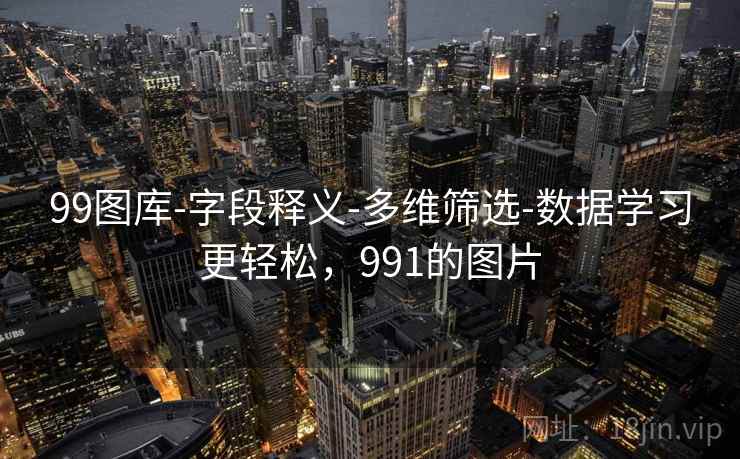 99图库-字段释义-多维筛选-数据学习更轻松，991的图片